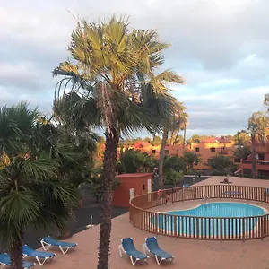  Apartamento Oasis Royal
